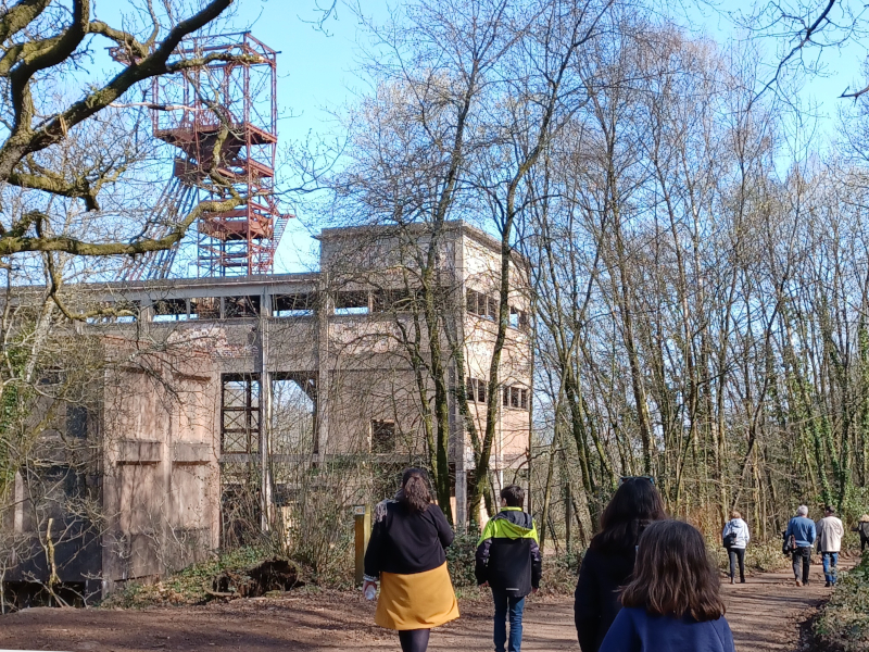 RANDO GUIDÉE · La mine en forêt de Halouze