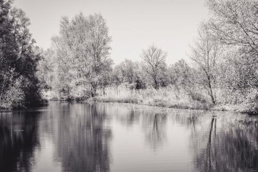 Balade nature - Le marais au crépuscule