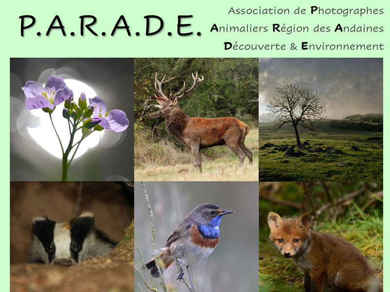 Exposition – photos de l’association P.A.R.A.D.E