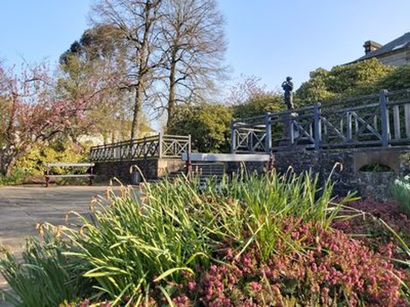 Dans mon jardin, il y a…. « Vitalis »