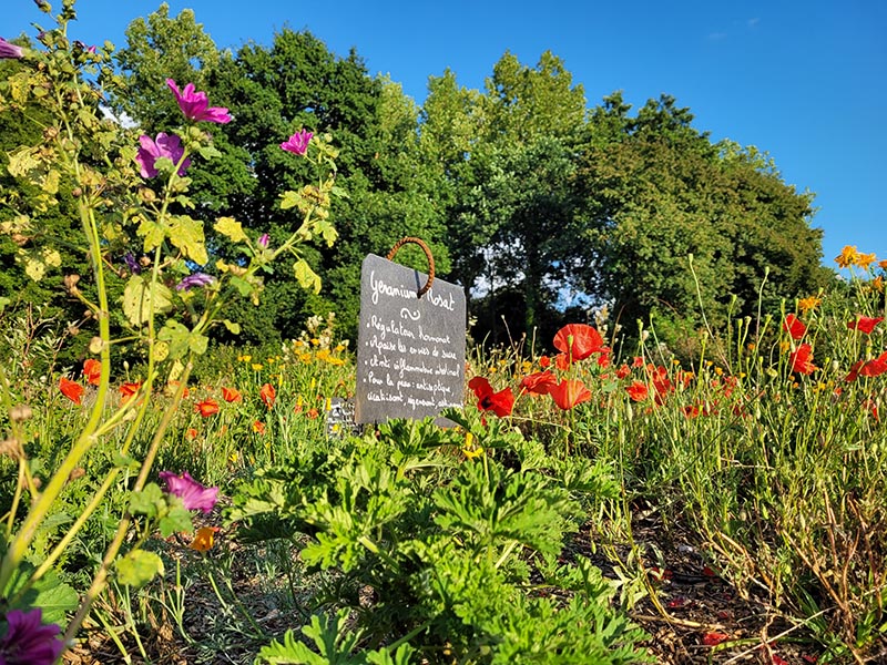Visite des sens au jardin de l&rsquo;Etre