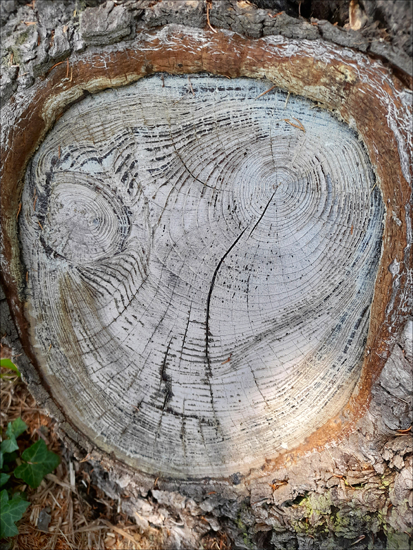 Exposition Nature’Elles