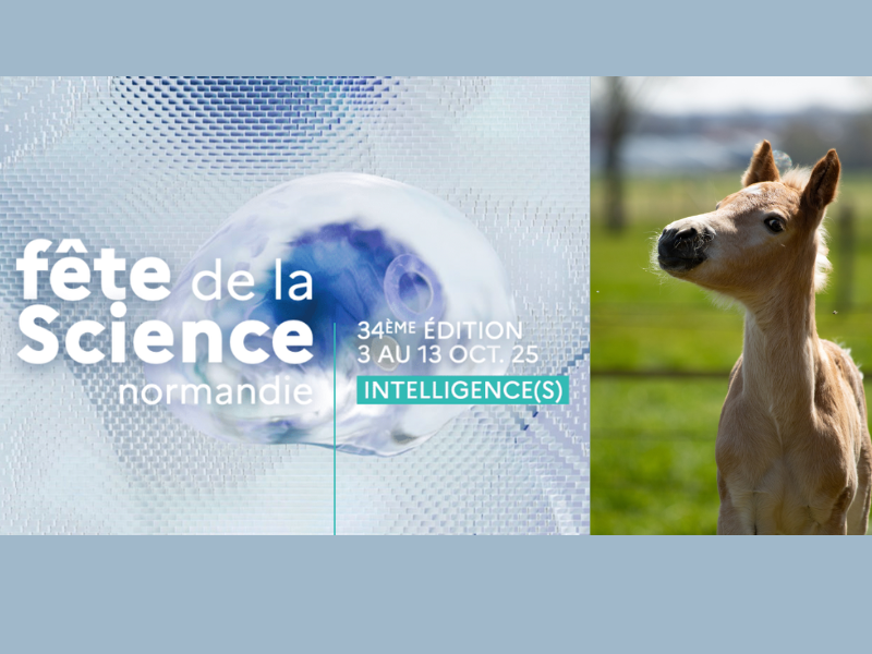 Fête de la science<br />Les parasites du poulain : traiter moins mais mieux ?