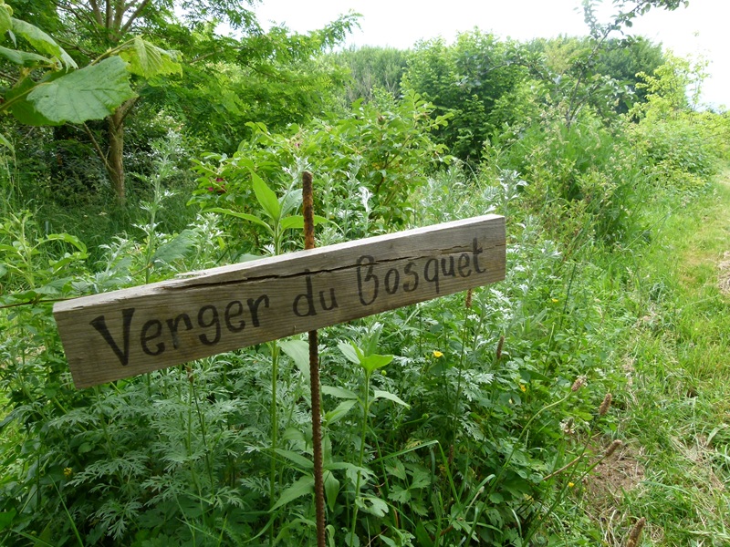 Visite- Verger du Bosquet de la Vère
