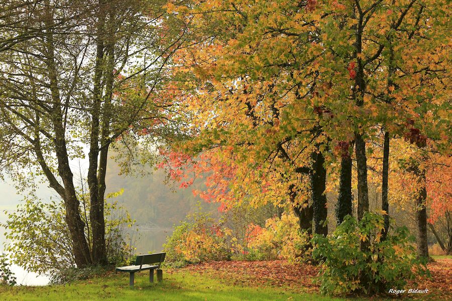 Animations « Semaine automnale »