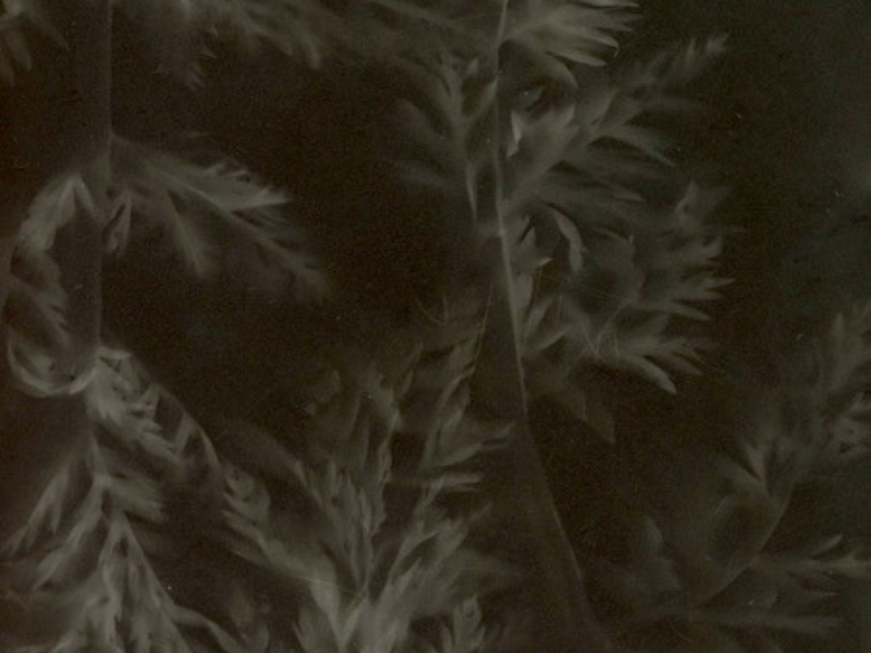 Exposition « Dans l&rsquo;imaginaire du grand Hazé »