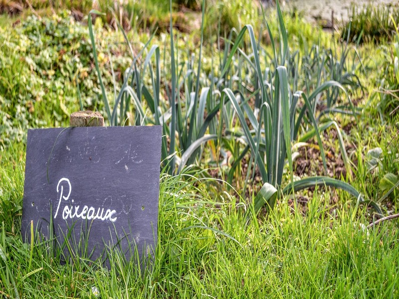Concevoir son jardin nourricier