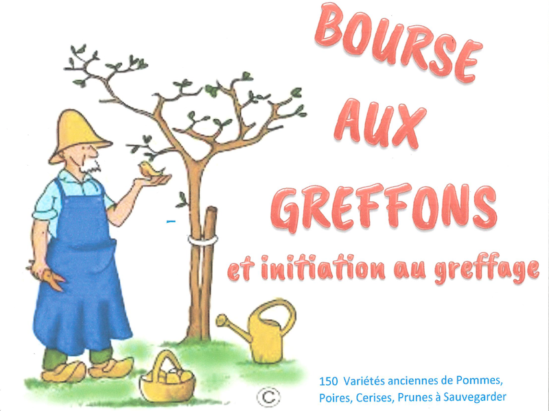 Bourse aux greffons et inititation au greffage d'arbres fruitiers