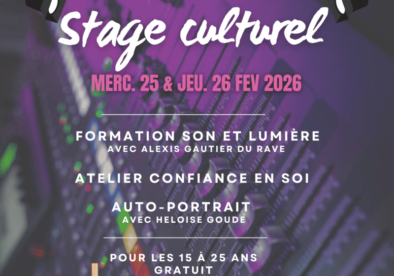 Stage culturel