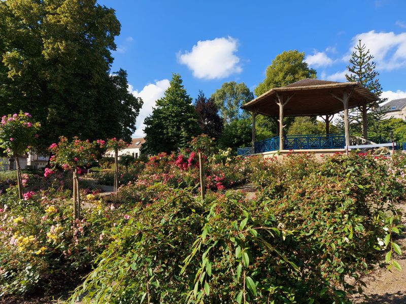 Dans mon jardin, il y a...