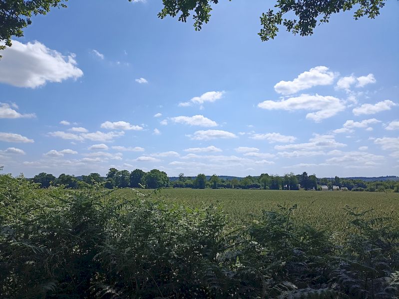 Randos 61 : Circuit de Saint-Gervais