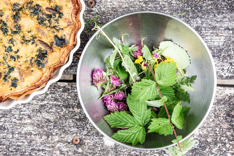Sortie - Tous les goûts sont dans la nature !