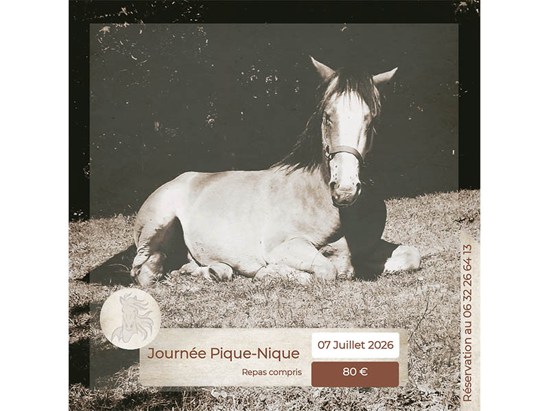 Journée pique-Nique à cheval