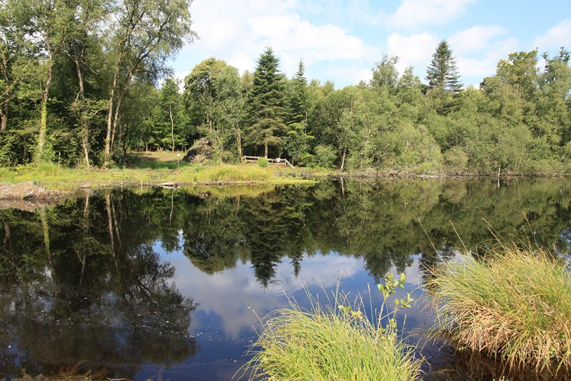 Balade nature - Portes-ouvertes à l'Etang de la Lande Forêt