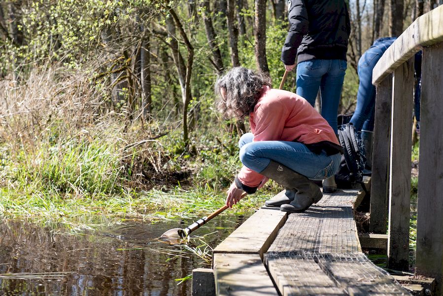 Balade nature - La boucle du marais