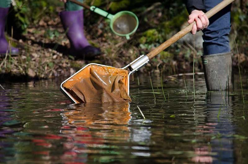 Sortie - Quand la mare se réveille