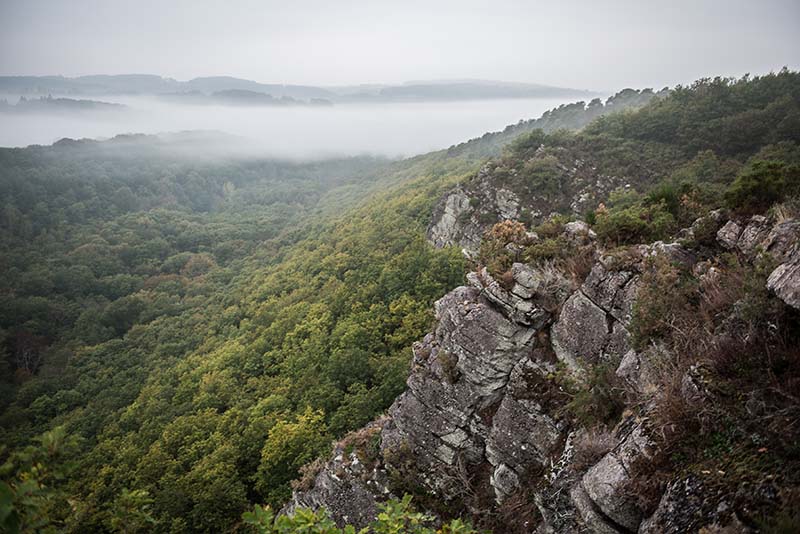 Balade nature en famille