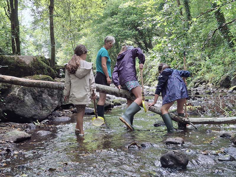 Sortie- Que de vie dans la rivière !