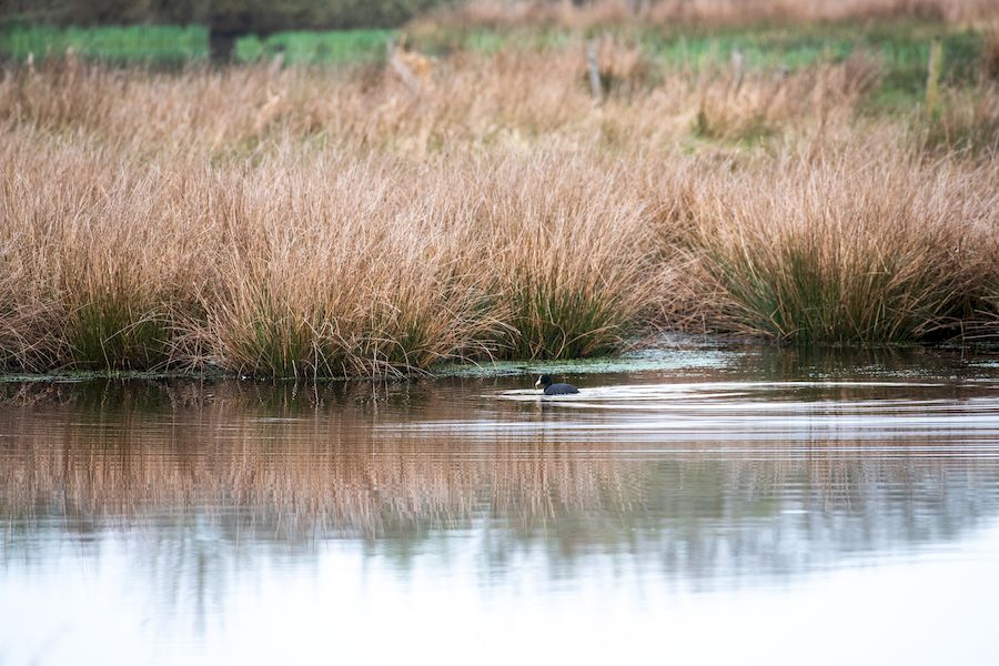 Jeu de piste autour de l'étang