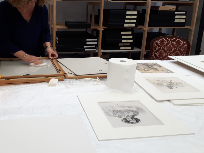 Visite des réserves du musée