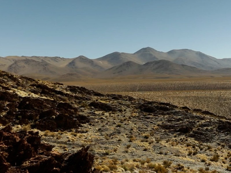 Vernissage de l'exposition Ex Nihilo d'Agathe Simon