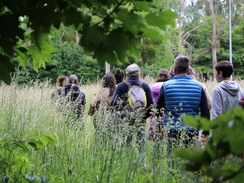 Balade botanique et poétique avec Flora Delalande