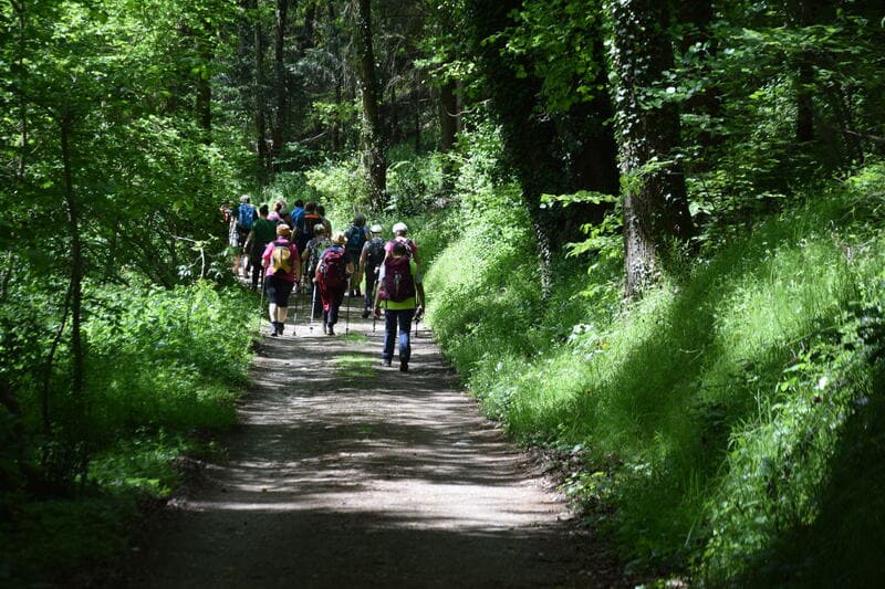 Les Rendez-vous de l'été- randonnée le Lembron
