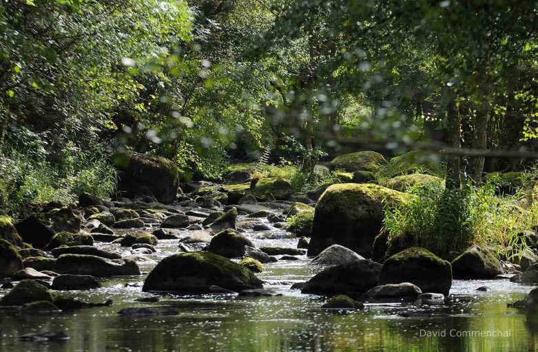 Les Rendez-vous de l'été- randonnée Le chant des cailloux