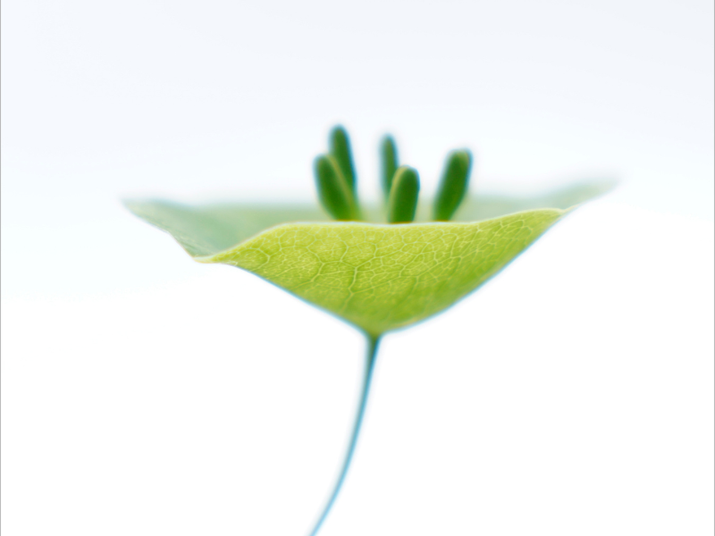 Exposition de photographies du Club de la Petite A