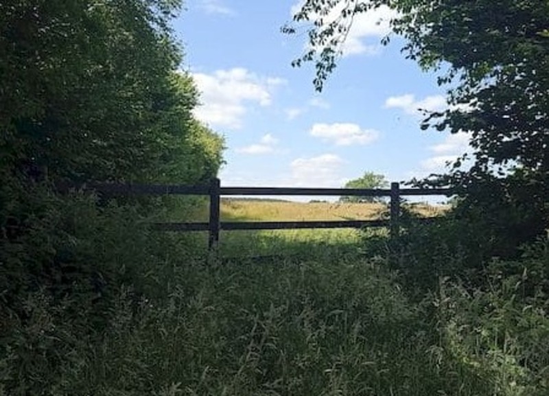 Les Rendez-vous de l'été- randonnée Le Mont d'Hère