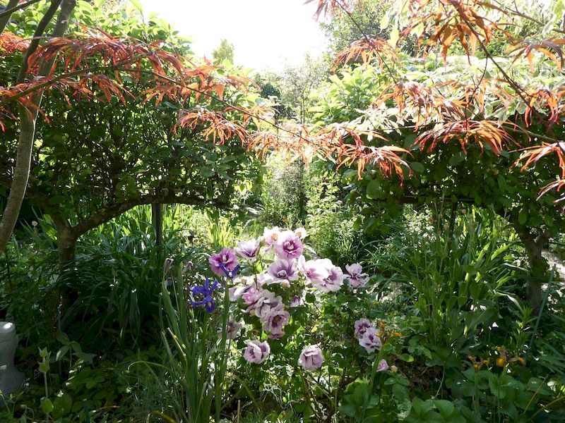 Ciné jardin 
