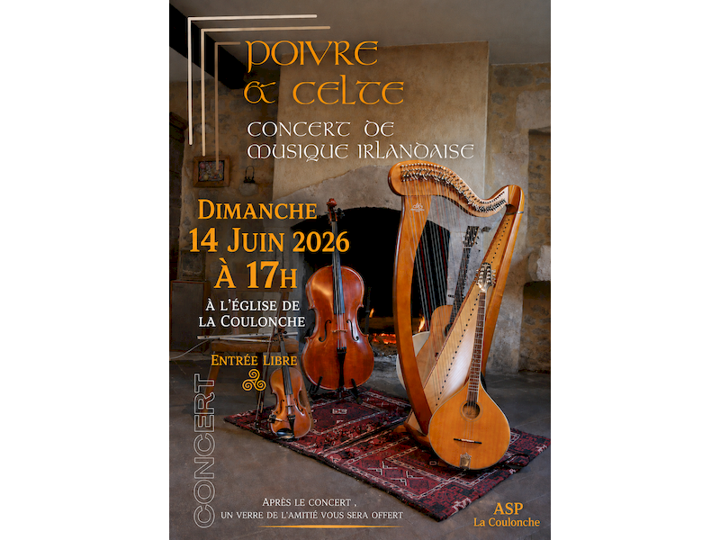Concert du musique irlandaise