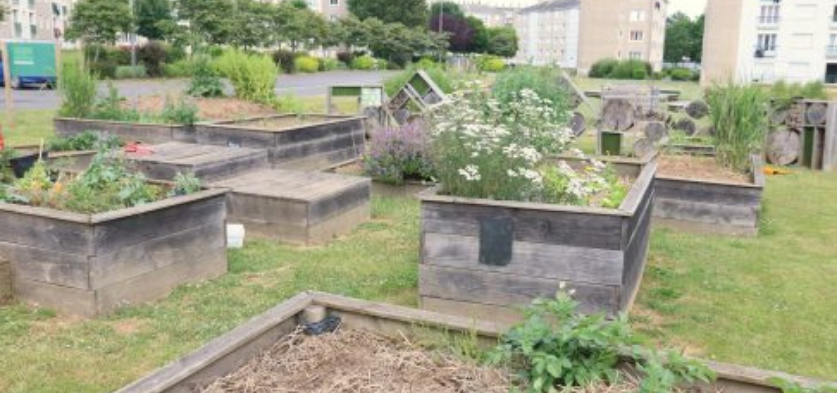  Histoires et atelier dans les jardins partagés Papilles et Papillons du quartier Saint Michel