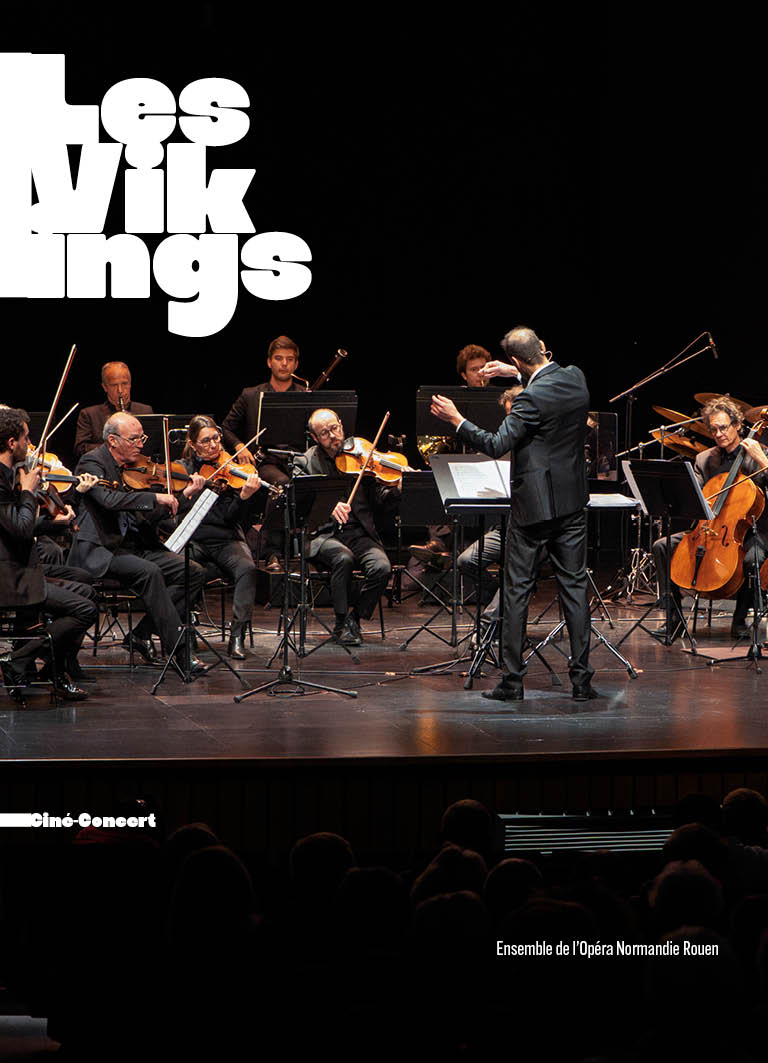 Spectacle – Les Vikings