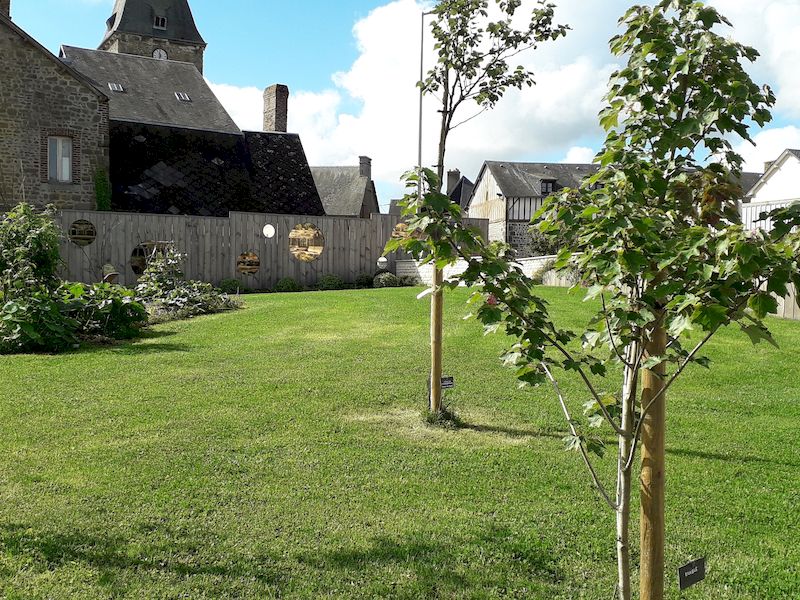 A la découverte du bouturage