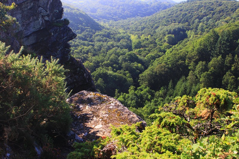Balade nature - Contes & nature