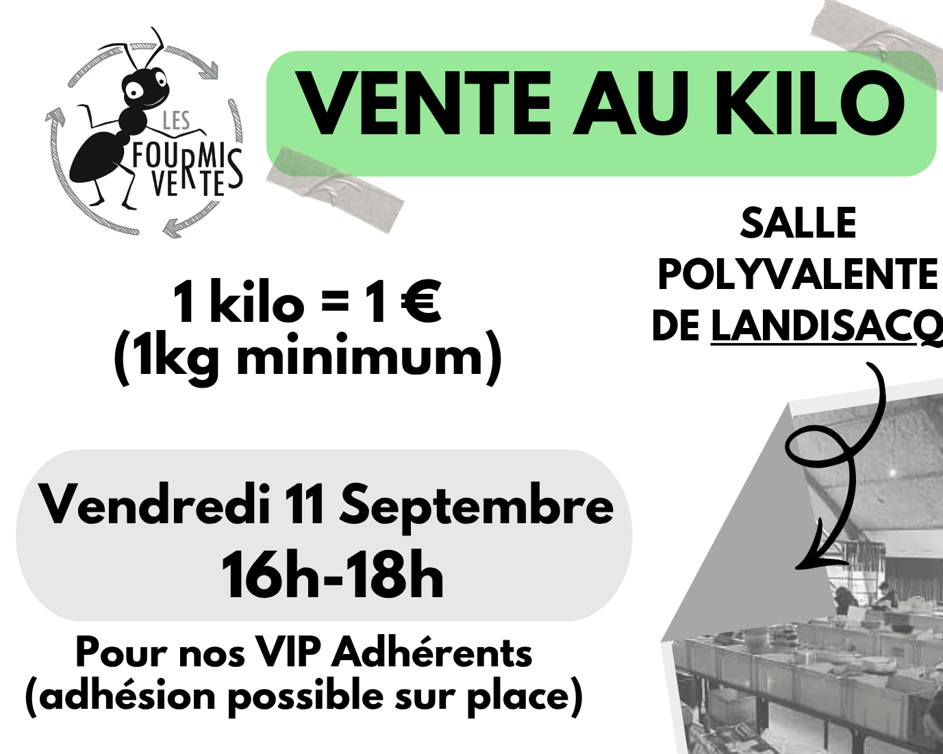 Vente au Kilo des Fourmis Vertes et affûtage d&rsquo;automne