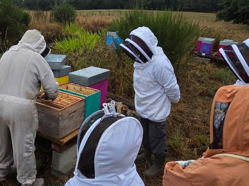Ateliers d'initiation à l'apiculture